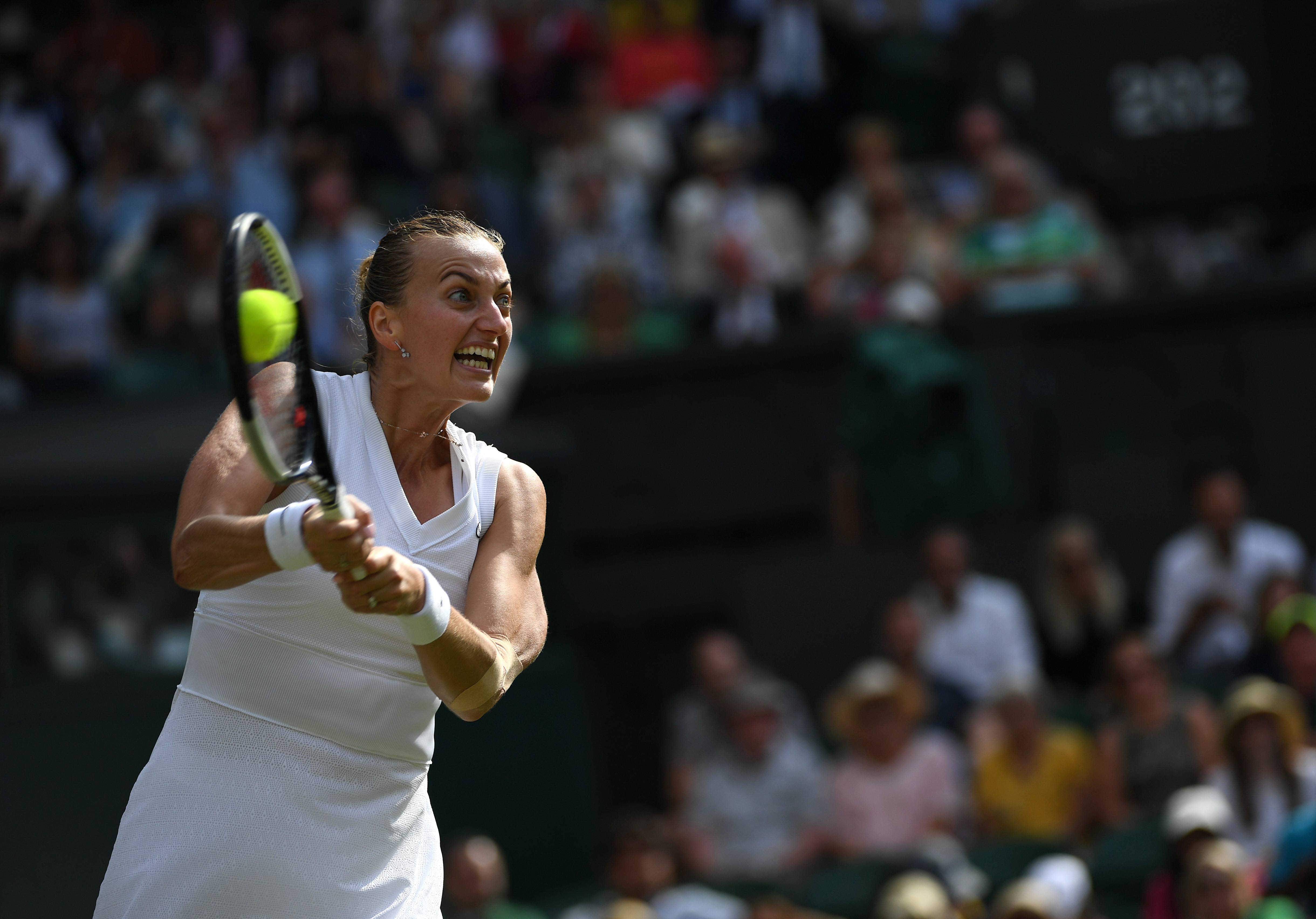 NG SPORTS-包含科维托娃迎来十赛季高光表现，IG球迷沸腾！的词条